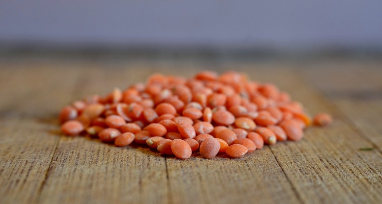 レンズ豆の豊富な栄養素について解説！【管理栄養士監修】